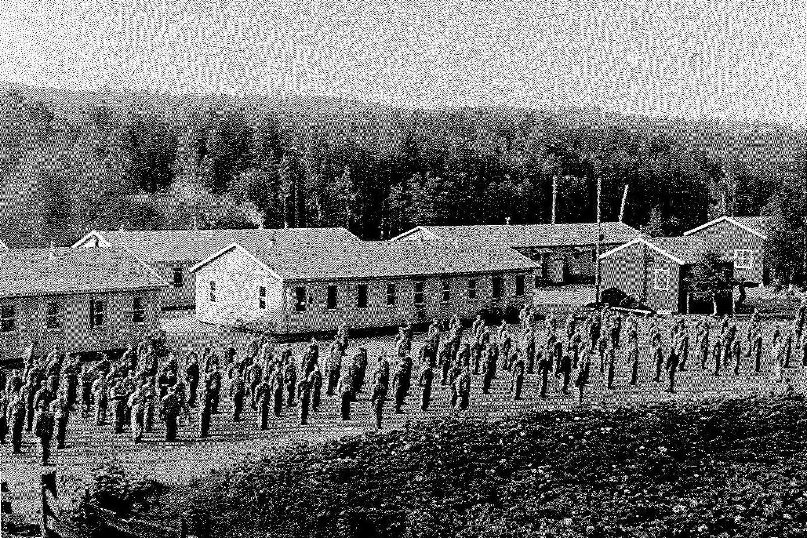 Militære styrkar i Sverige
