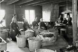 Ti kvinner i Rogaland. Fødd før 1913